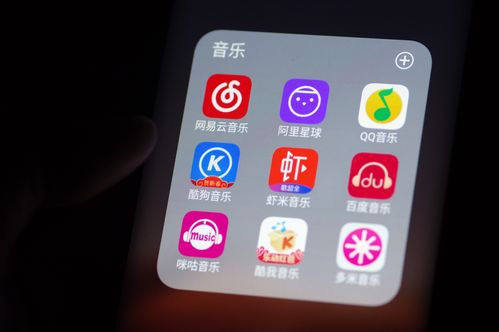 虾米出行不在服务区，虾米出行覆盖城市-第4张图片-微云百科
