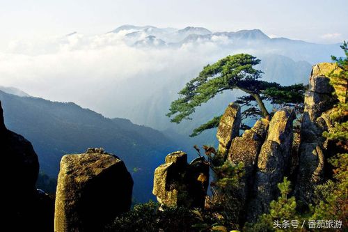 江山天气预报,江山天气预报查询15天-第4张图片-微云百科 江山天气预报,江山天气预报查询15天-第4张图片-微云百科