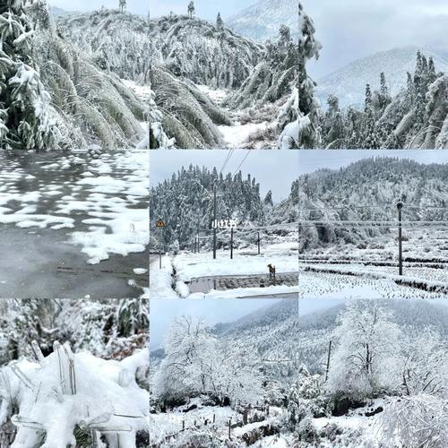 铁力天气(铁力天气预报30天)-第6张图片-微云百科 铁力天气(铁力天气预报30天)-第6张图片-微云百科