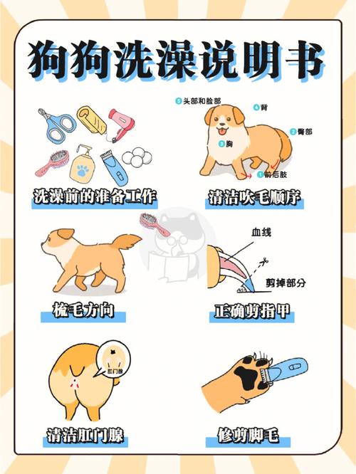 西班牙限制出行遛狗，西班牙封城但可以遛狗出门-第3张图片-微云百科