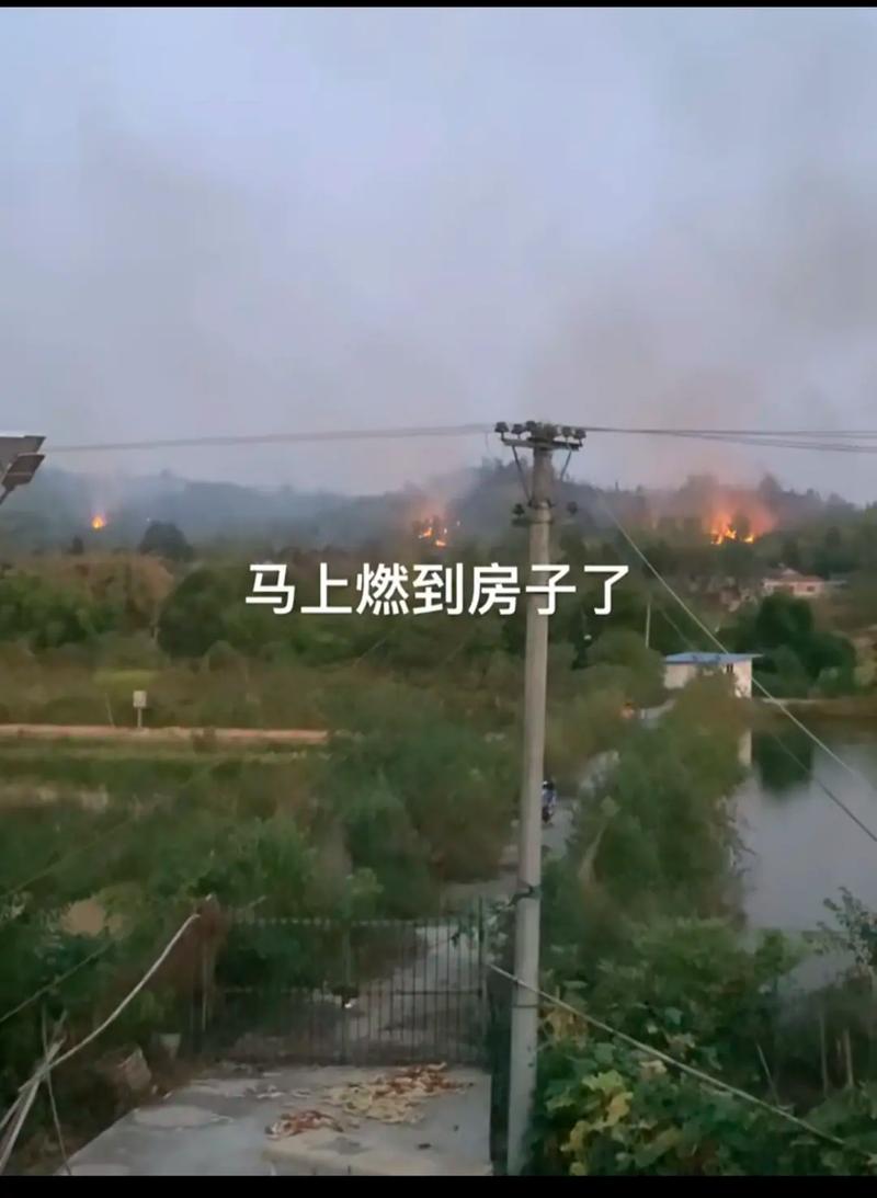 重庆市涪陵区天气 - 重庆市涪陵区天气丹真假-第3张图片-微云百科
