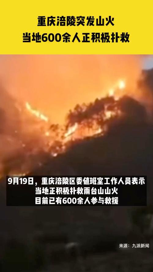 重庆市涪陵区天气 - 重庆市涪陵区天气丹真假-第4张图片-微云百科