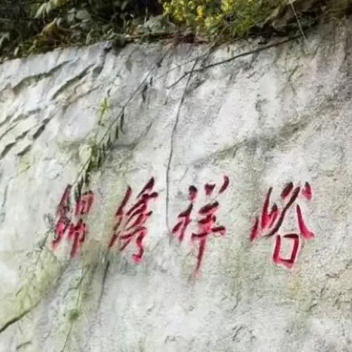 祥峪森林公园旅游攻略，祥峪森林公园旅游攻略图-第5张图片-微云百科