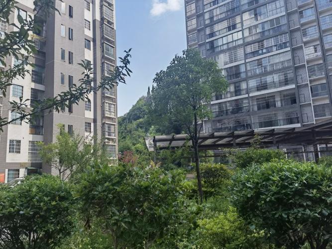 西秀区交通出行信息(西秀区交通运输综合行政执法大队)-第5张图片-微云百科 西秀区交通出行信息(西秀区交通运输综合行政执法大队)-第5张图片-微云百科