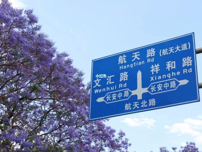 西昌到绵阳能出行吗今天(西昌到绵阳要经过哪些地方)-第8张图片-微云百科 西昌到绵阳能出行吗今天(西昌到绵阳要经过哪些地方)-第8张图片-微云百科