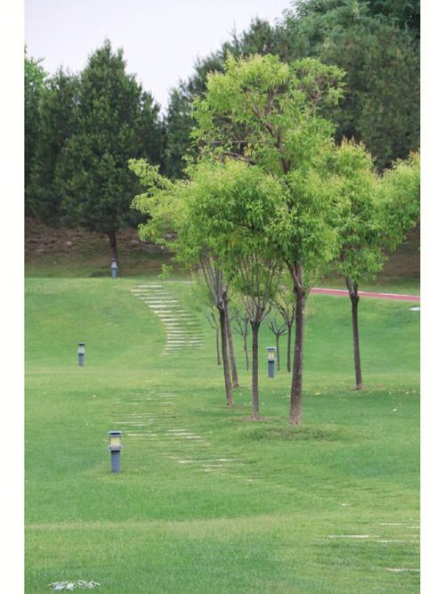 西安蓝天出行方案,西安蓝天出行方案查询-第2张图片-微云百科 西安蓝天出行方案,西安蓝天出行方案查询-第2张图片-微云百科