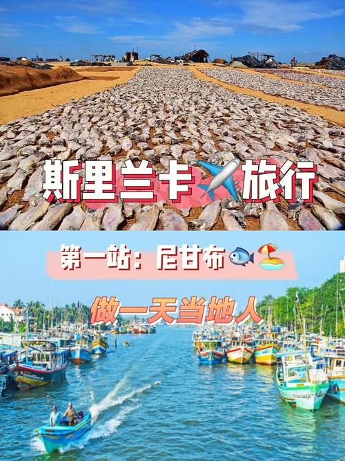 斯里兰卡旅游攻略花费（斯里兰卡自由行旅游攻略花费）-第1张图片-微云百科