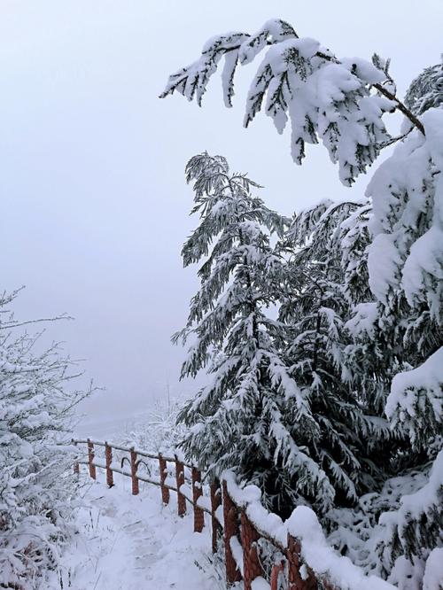 丰顺天气 - 丰顺天气预报15天最新-第2张图片-微云百科