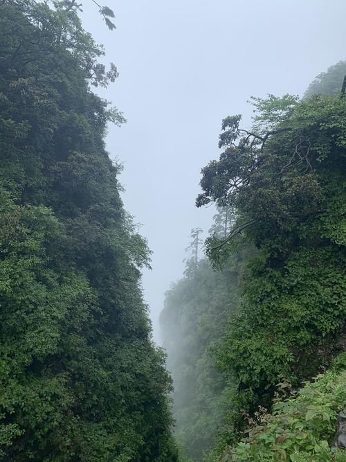 峨眉山市天气预报,峨眉山市天气预报15天准确-第2张图片-微云百科 峨眉山市天气预报,峨眉山市天气预报15天准确-第2张图片-微云百科
