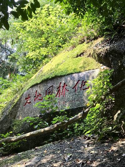 桂平天气(桂平天气预报30天气预报)-第1张图片-微云百科 桂平天气(桂平天气预报30天气预报)-第1张图片-微云百科
