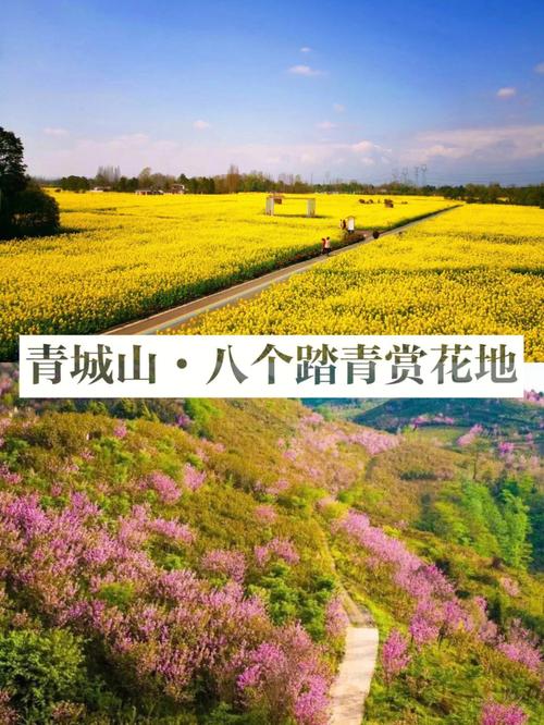 丰城市天气，江西丰城市天气-第4张图片-微云百科