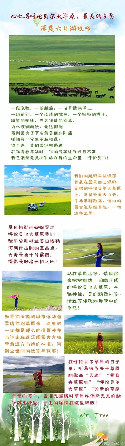 呼伦贝尔旅游景点攻略,呼伦贝尔旅游景点攻略冬日-第3张图片-微云百科 呼伦贝尔旅游景点攻略,呼伦贝尔旅游景点攻略冬日-第3张图片-微云百科