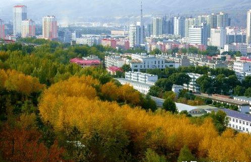 西宁出行忘带钱(西宁出行忘带钱怎么处理)-第1张图片-微云百科 西宁出行忘带钱(西宁出行忘带钱怎么处理)-第1张图片-微云百科
