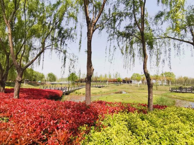 河南省郑州市新郑市天气（河南省郑州市新郑市天气15天气）-第4张图片-微云百科