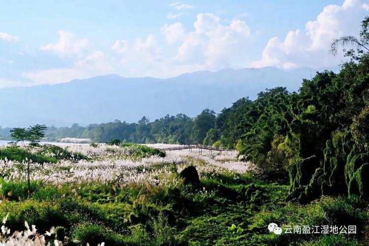 盈江旅游攻略必去景点（盈江旅游攻略必去景点一日游）-第1张图片-微云百科