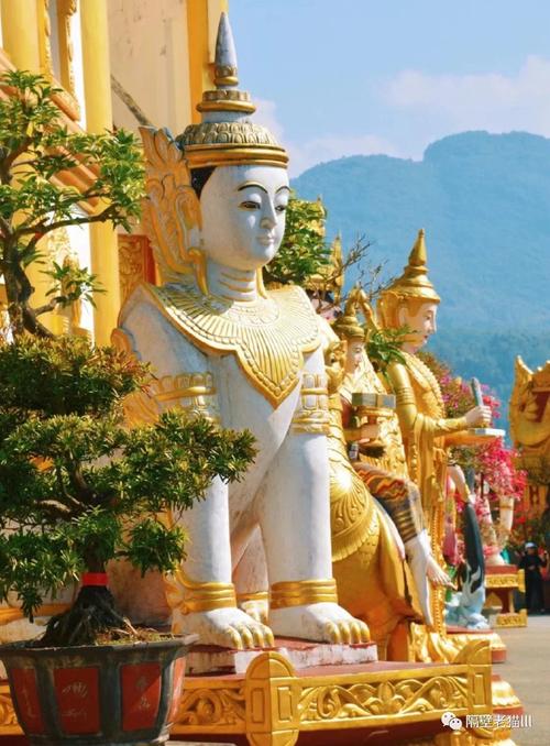 盈江旅游攻略必去景点（盈江旅游攻略必去景点一日游）-第4张图片-微云百科