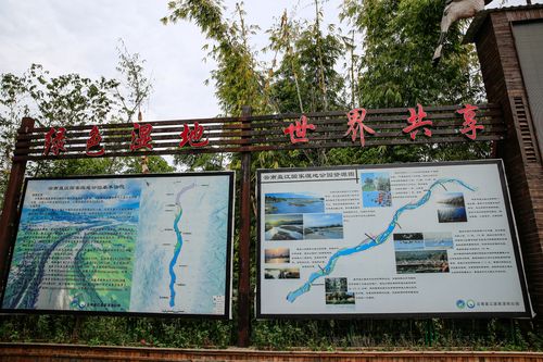 盈江旅游攻略必去景点（盈江旅游攻略必去景点一日游）-第7张图片-微云百科