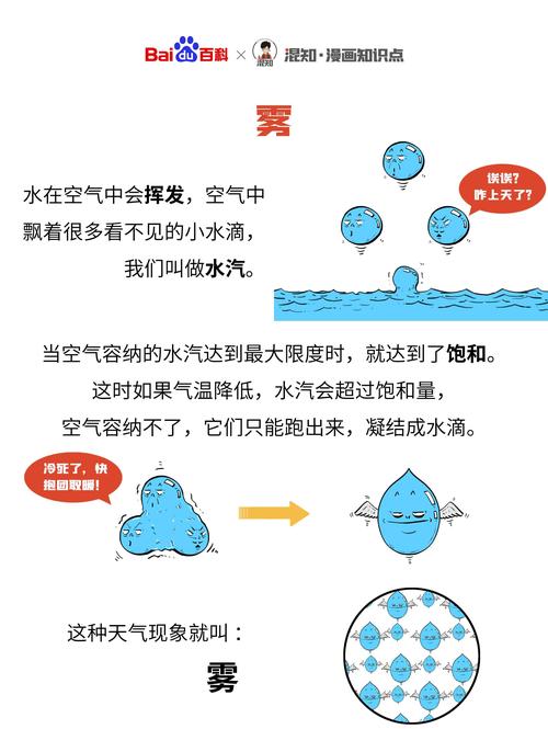雾霾天气形成的原因 - 雾霾天气形成的原因和危害,研学报告-第7张图片-微云百科 雾霾天气形成的原因 - 雾霾天气形成的原因和危害,研学报告-第7张图片-微云百科