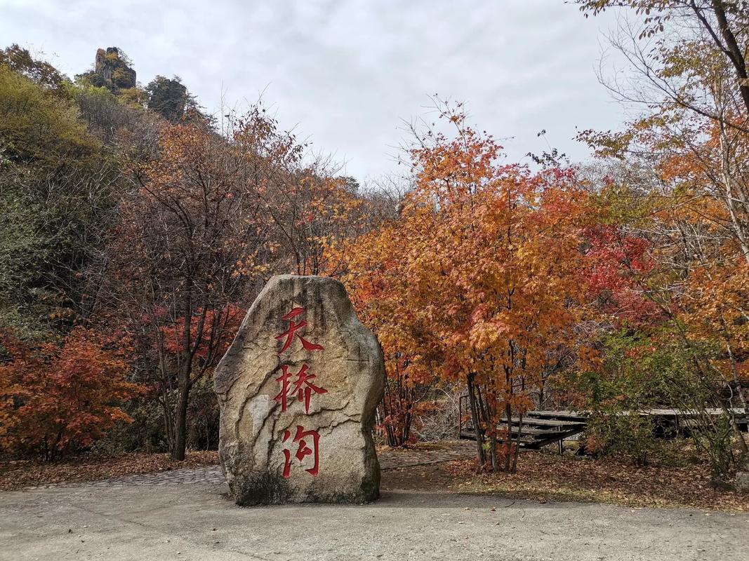 辽宁旅游攻略景点必去（辽宁沈阳旅游攻略景点必去）-第4张图片-微云百科