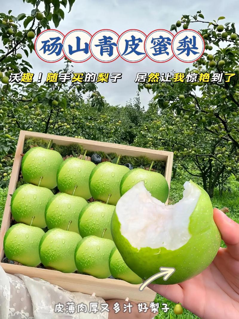 安徽宿州砀山天气,安徽宿州砀山天气预报15天查询-第5张图片-微云百科 安徽宿州砀山天气,安徽宿州砀山天气预报15天查询-第5张图片-微云百科