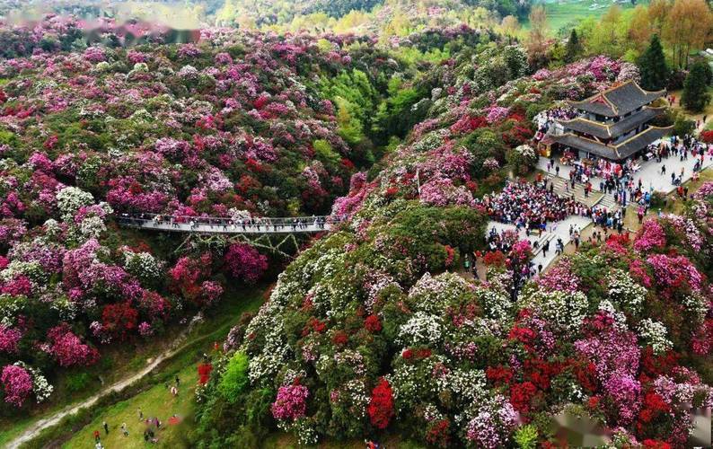 洪江天气 - 洪江天气预报15天查询百度百科-第3张图片-微云百科 洪江天气 - 洪江天气预报15天查询百度百科-第3张图片-微云百科