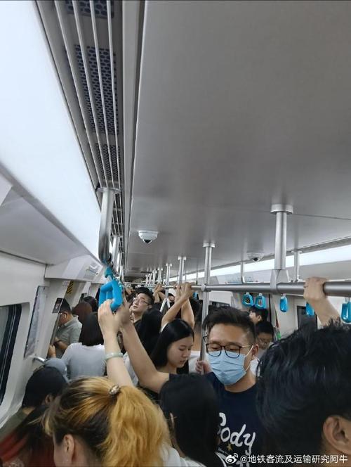 下雨天都有哪些出行的人(下雨天适合出行吗)-第5张图片-微云百科 下雨天都有哪些出行的人(下雨天适合出行吗)-第5张图片-微云百科