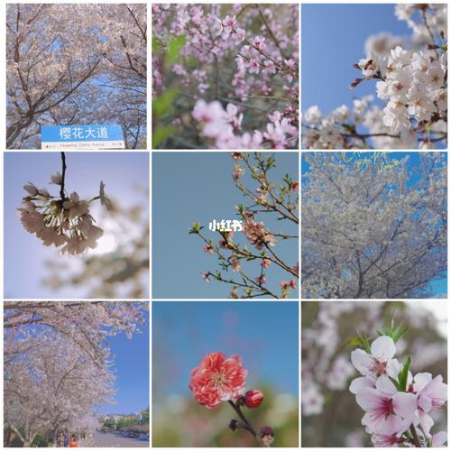 山东省青岛市市北区天气,山东省青岛市市北区天气预报15天查询结果-第6张图片-微云百科 山东省青岛市市北区天气,山东省青岛市市北区天气预报15天查询结果-第6张图片-微云百科
