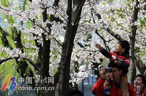 黄陵天气预报,富县天气预报-第6张图片-微云百科 黄陵天气预报,富县天气预报-第6张图片-微云百科