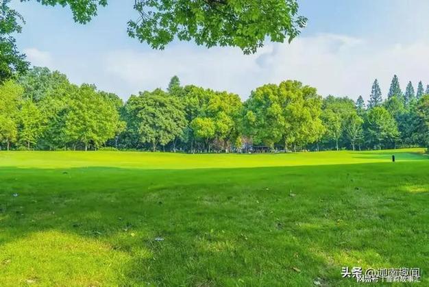 下班回家绿色出行 - 下班回家绿色出行的说说-第3张图片-微云百科 下班回家绿色出行 - 下班回家绿色出行的说说-第3张图片-微云百科