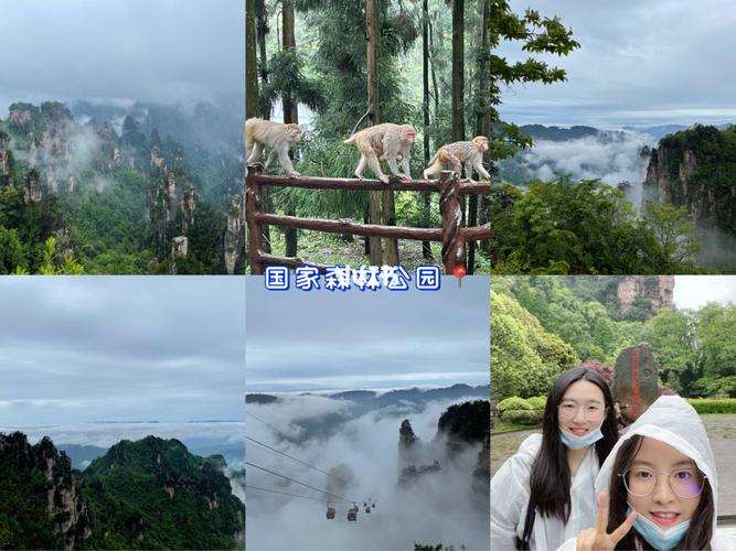 武汉到张家界旅游攻略,武汉到张家界旅游攻略路线图-第8张图片-微云百科 武汉到张家界旅游攻略,武汉到张家界旅游攻略路线图-第8张图片-微云百科