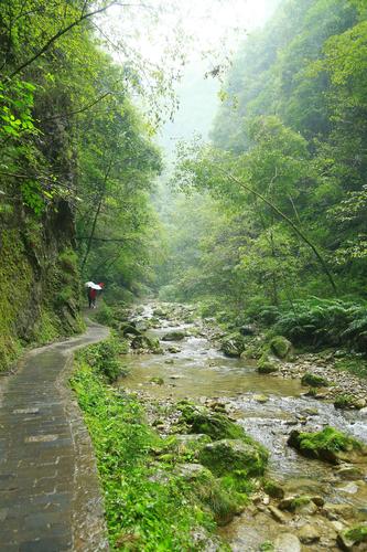 下雨天晚上出行安全吗广东,下雨天出行好吗-第4张图片-微云百科 下雨天晚上出行安全吗广东,下雨天出行好吗-第4张图片-微云百科
