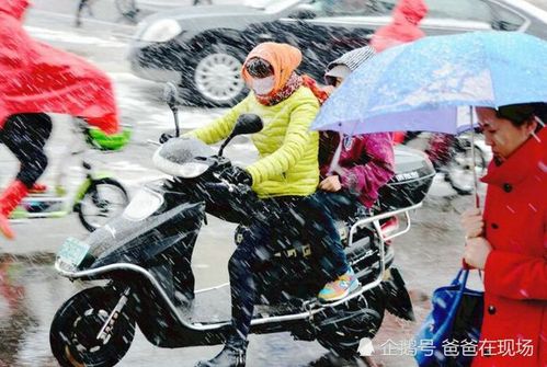 下雪出行应该换什么出行更加安全 - 下雪天出行的说说-第2张图片-微云百科 下雪出行应该换什么出行更加安全 - 下雪天出行的说说-第2张图片-微云百科