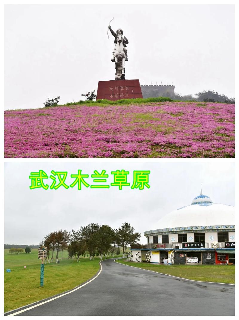 武汉木兰草原旅游攻略，武汉木兰草原旅游攻略及花费-第5张图片-微云百科