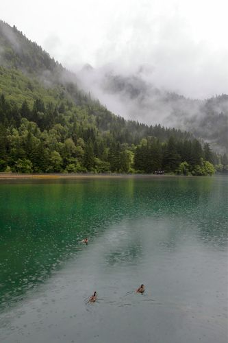 西岭雪山天气预报（西岭雪山天气预报一周 7天）-第4张图片-微云百科
