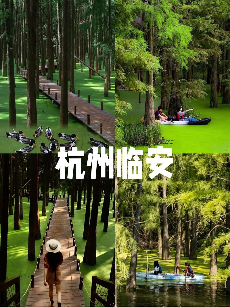厦门两天一夜旅游攻略，厦门两天两夜日游攻略-第5张图片-微云百科