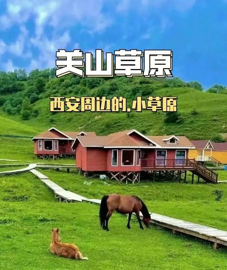 宝鸡关山牧场旅游攻略,宝鸡关山牧场旅游攻略2天免费-第8张图片-微云百科 宝鸡关山牧场旅游攻略,宝鸡关山牧场旅游攻略2天免费-第8张图片-微云百科