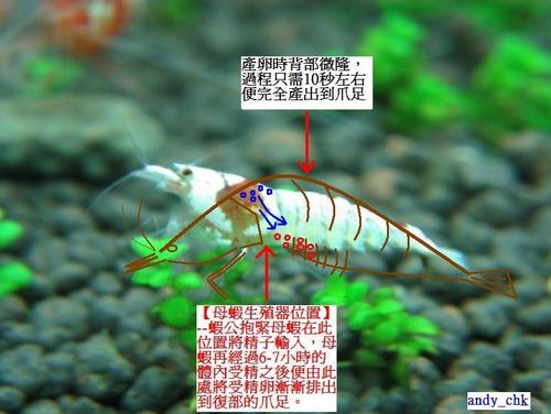虾米出行怎么关灯 - 虾米出行电动车怎么关闭-第3张图片-微云百科 虾米出行怎么关灯 - 虾米出行电动车怎么关闭-第3张图片-微云百科