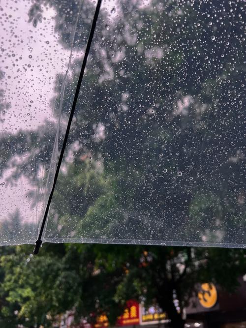 下雨天出行用什么地图好 - 下雨天出行用什么地图好呢-第4张图片-微云百科 下雨天出行用什么地图好 - 下雨天出行用什么地图好呢-第4张图片-微云百科