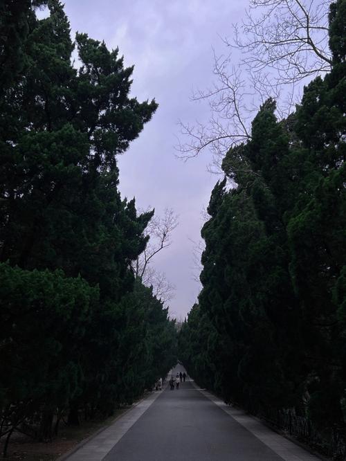 即墨市天气预报（即墨市天气预报今）-第3张图片-微云百科