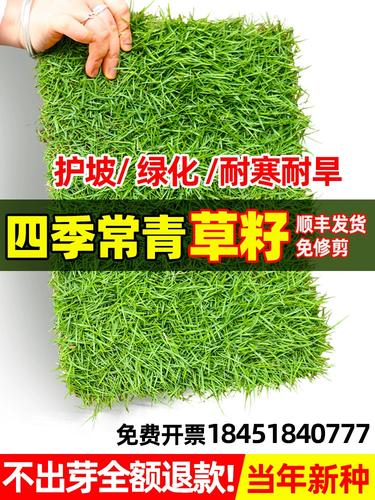 马尼拉天气,马尼拉天气预报30天查询-第8张图片-微云百科 马尼拉天气,马尼拉天气预报30天查询-第8张图片-微云百科