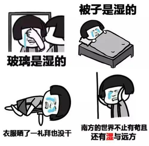 天气潮湿怎么办，潮湿天气如何除湿-第1张图片-微云百科