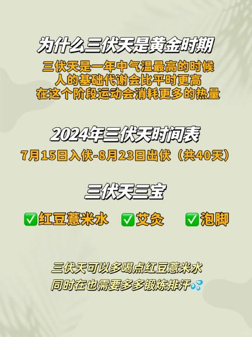 天气潮湿怎么办，潮湿天气如何除湿-第4张图片-微云百科