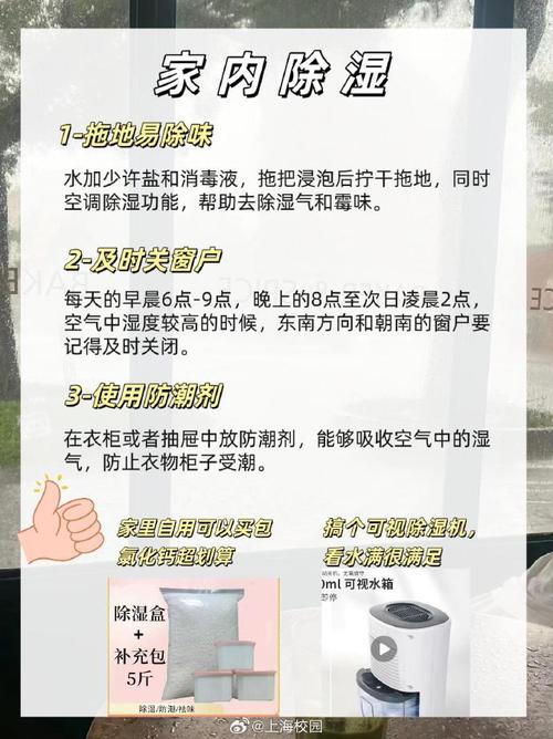 天气潮湿怎么办，潮湿天气如何除湿-第5张图片-微云百科