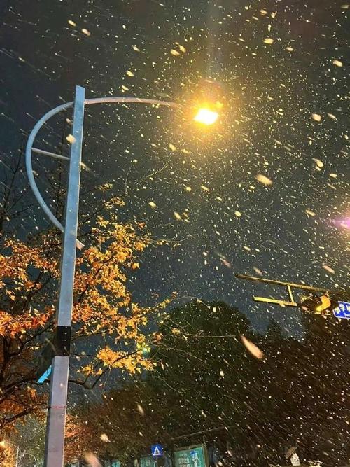 下雪天注意出行文案搞笑 - 下雪天出行注意事项-第5张图片-微云百科