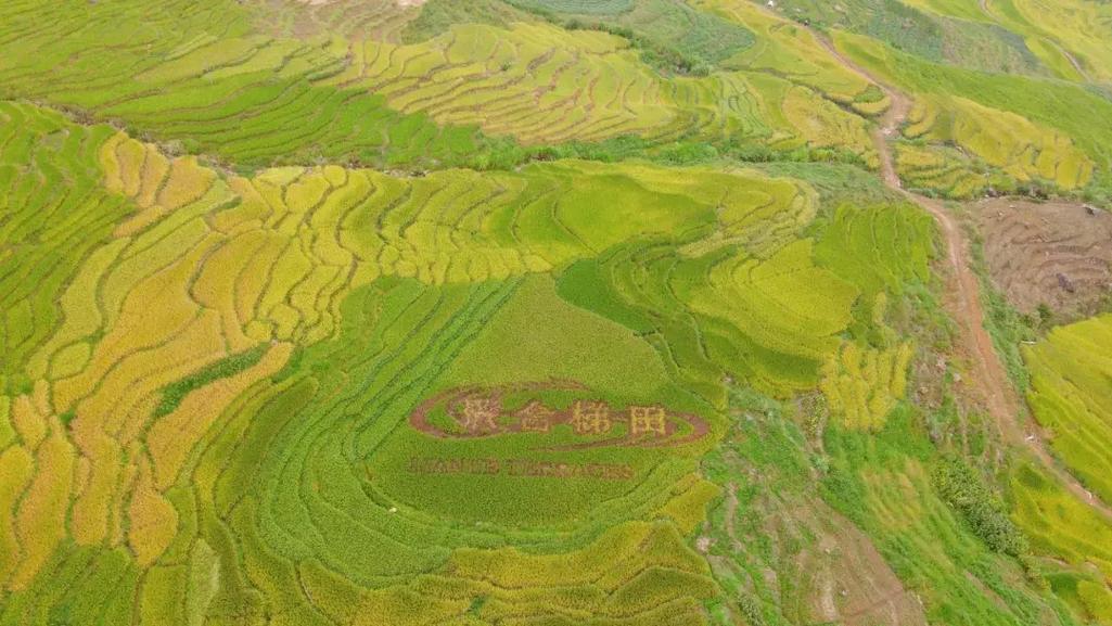 建宁天气,建宁天气预报15天天气-第2张图片-微云百科 建宁天气,建宁天气预报15天天气-第2张图片-微云百科