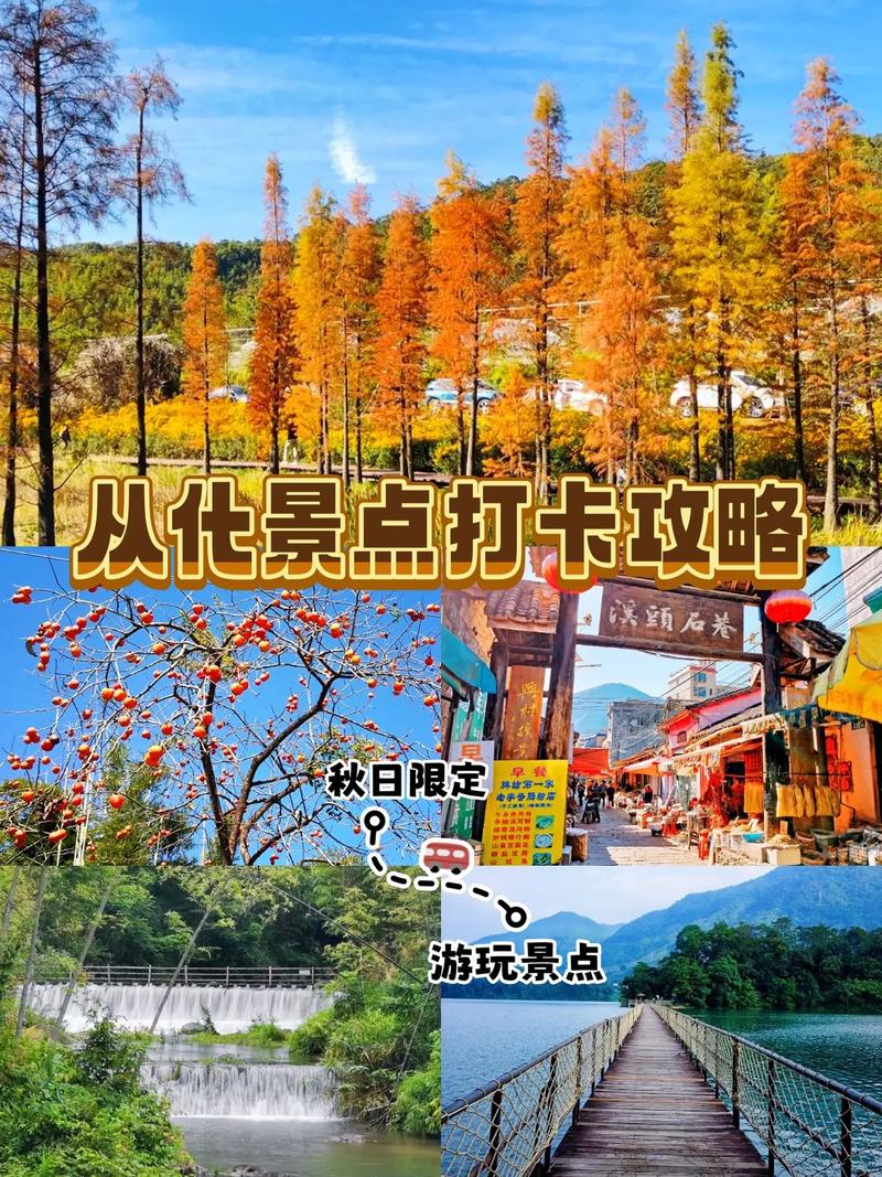 溪头村一日游旅游攻略(溪头村有什么玩)-第3张图片-微云百科 溪头村一日游旅游攻略(溪头村有什么玩)-第3张图片-微云百科