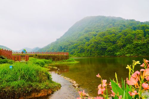 溪头村一日游旅游攻略(溪头村有什么玩)-第6张图片-微云百科 溪头村一日游旅游攻略(溪头村有什么玩)-第6张图片-微云百科