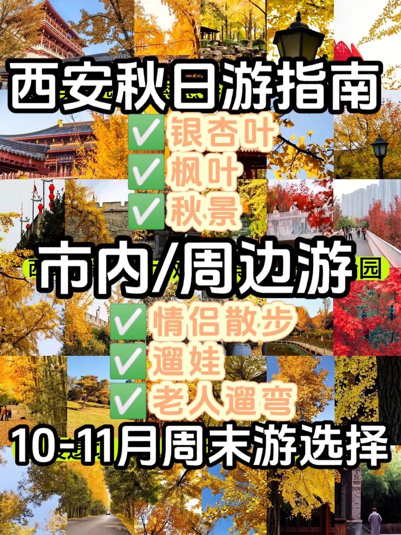 西安中风险区可以出行吗 - 西安中风险区可以出行吗最新-第8张图片-微云百科