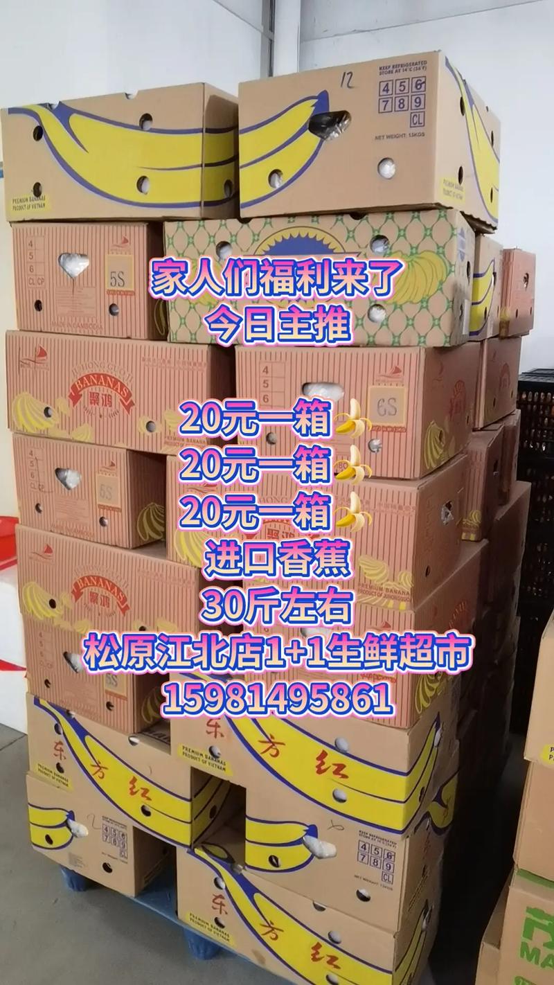 松原市天气预报(松原市天气预报30天查询)-第1张图片-微云百科 松原市天气预报(松原市天气预报30天查询)-第1张图片-微云百科