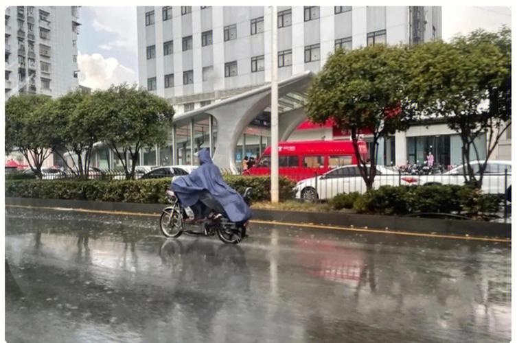 下雨推荐出行武汉(武汉下雨天去哪游玩)-第2张图片-微云百科 下雨推荐出行武汉(武汉下雨天去哪游玩)-第2张图片-微云百科